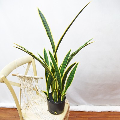 Artificial Bonsai Snake Plant Fake Sansevieria for Home Garden Office Store Decoration