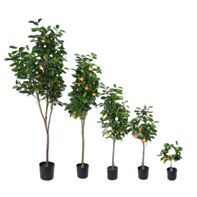 1121382 green plant bonsai lemon plant bonsai for hotel/home decoration