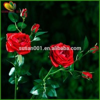 Artificial flower real touch rose flower for home decoration artificial rose