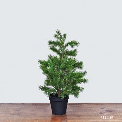 Wholesale Cheap Home Decoration Potted Indoor Pine Plant Mini Tabletop Christmas Cypress Tree